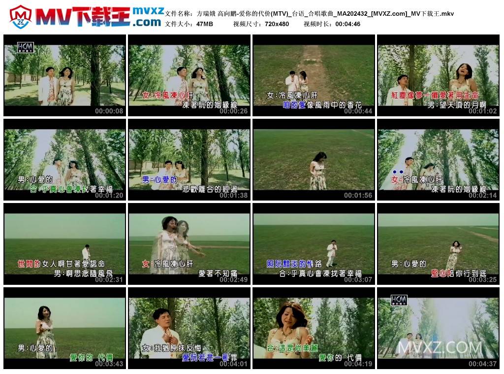 方瑞娥 高向鹏-爱你的代价(MTV)_台语_合唱歌曲_MA202432